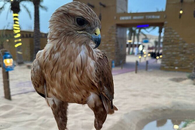 Dubai Desert Safari VIP Package - Price and value: why this VIP bundle can feel like a deal