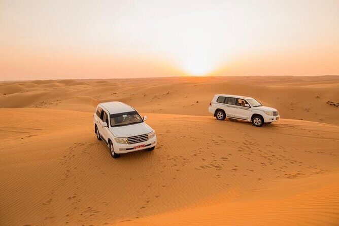Dubai Desert Safari with BBQ Dinner & Camel Riding - Who Should Book This Safari (and Who Should Rethink It)