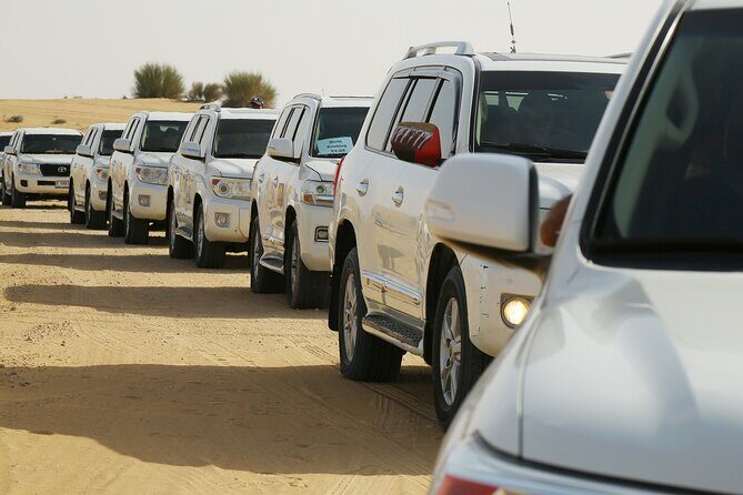 Dubai Desert Safari with Belly Dance, Fire Show and Tanura Show-The Full Package - Lahbab dune bashing: the thrill, the views, and the reality of sand