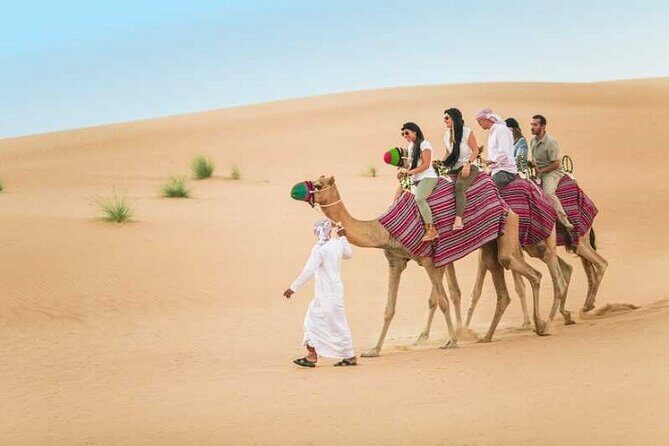 Dubai Desert Safari With Camel Ride and Sand Boarding - Pickup and Timing: What the 2:30 pm Start Really Means