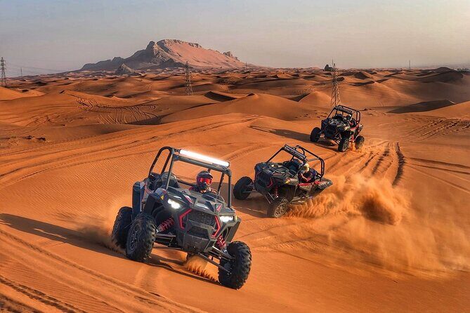 Dubai Desert Safari With Camel Ride and Sand Boarding - Shows Under the Night Sky: Belly Dance, Tanura, and a Live Fire Moment