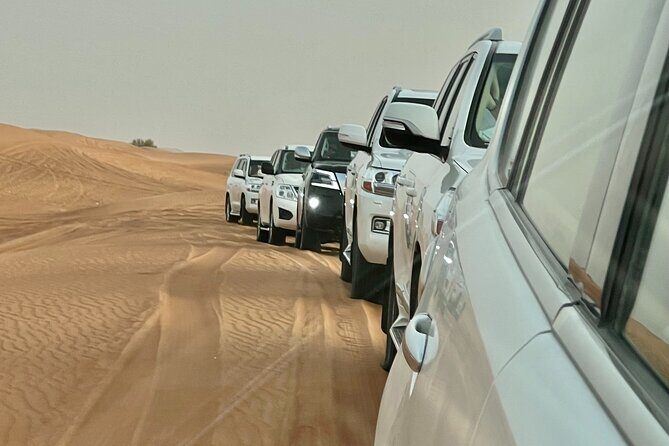 Dubai Desert Safari with Camel Ride, Sand surf, & BBQ Dinner - Price, Value, and the Real Cost of Optional Extras