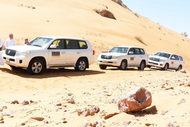 Dubai Desert Safari with Camel Ride, Show, BBQ and Transfers - The shows at night: belly dancer, Tanoura, and fire