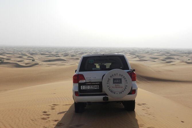 Dubai Desert Safari with Camel Ride, Show, BBQ and Transfers - What to wear, what to bring, and how to handle photos