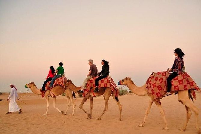 Dubai Desert Safari with Camel Riding and Belly Dance - Key things to know before you go