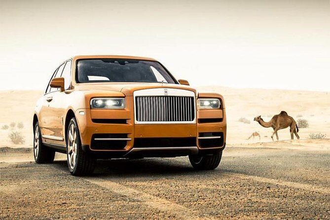 Dubai Desert Safari with Dance show, Sand Boarding, Camel & BBQ - Key Highlights You’ll Actually Feel