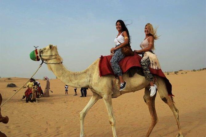Dubai Desert Safari with Dance show, Sand Boarding, Camel & BBQ - Sand Boarding: The Fastest Way to Play on Dunes