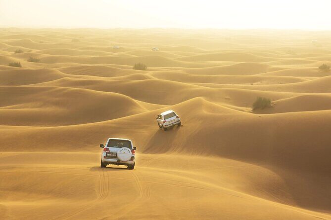Dubai Desert Safari with Dinner - Pickup, group size, and comfort tips that save your evening