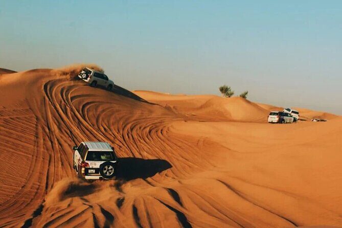 Dubai Desert Safari with Dinner - Should you book this Dubai desert safari with dinner?