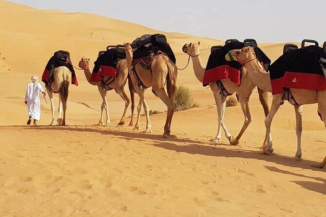 Dubai Desert Safari with Dune Bashing, Camel Ride, & BBQ Dinner - Why This Desert Safari Feels Like a Dubai Switch-Off