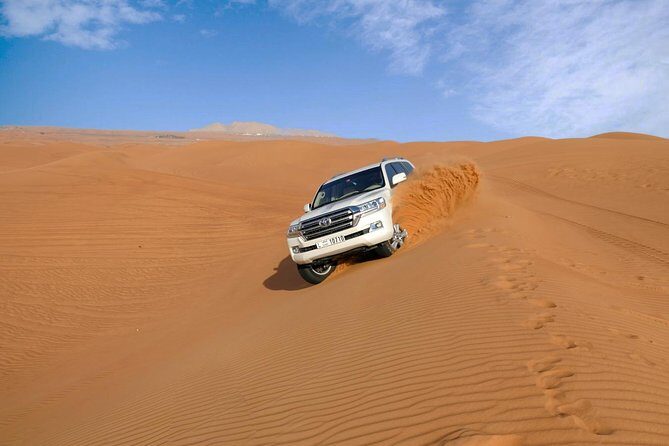 Dubai Desert Safari with Dune Bashing, Camel Rides & BBQ - Falconry demo and Arabic costumes: culture in a live format