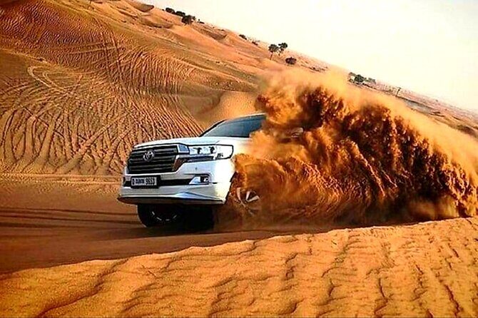 Dubai Desert Safari with Private Transfers - Key Highlights You’ll Care About