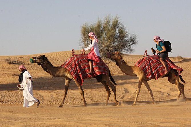 Dubai Desert Safari with Quad Bike & Dune Bashing & Camel Ride & BBQ Dinner - Sand Boarding and Camel Riding: Classic Desert Texture