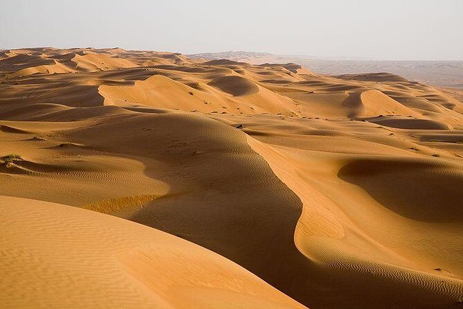 Dubai Desert Safari with Quad Bike & Dune Bashing & Camel Ride & BBQ Dinner - Price and Value: Is $195 Worth It?