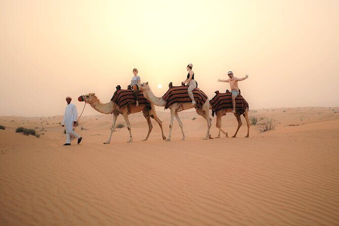 Dubai Desert Safari with Quad Biking - Who this safari is best for (and who should think twice)