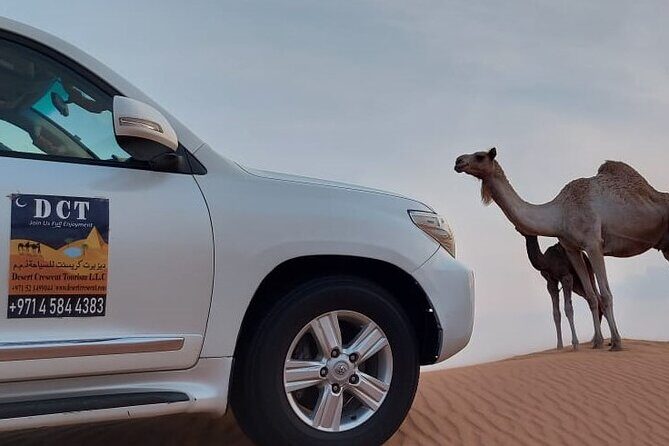 Dubai Desert Safari With Sandboarding & Camel Riding - Price and value: why this package can be worth it