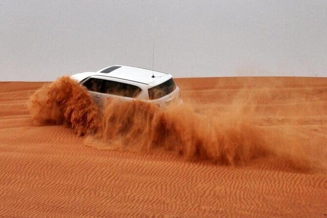 Dubai Dinner Desert Experience with 01 Hour quad bike and camel ride - What Matters for Comfort: Clothing, Timing, and Group Size
