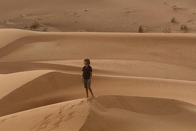 Dubai Elite Red Dunes Safari With Sunset & Bedouin Camp - Sandboarding and the camel ride: fun that’s not just sitting