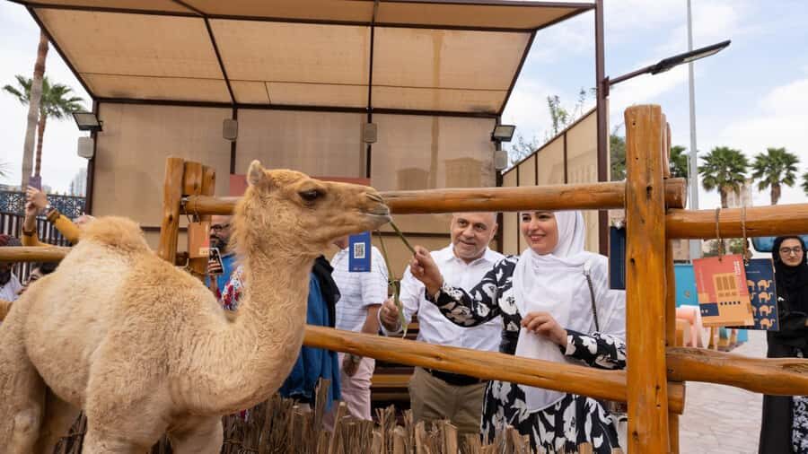 Dubai: Emirati Cultural Experience with Emirati Meal - Quick Planning Tips Before You Go