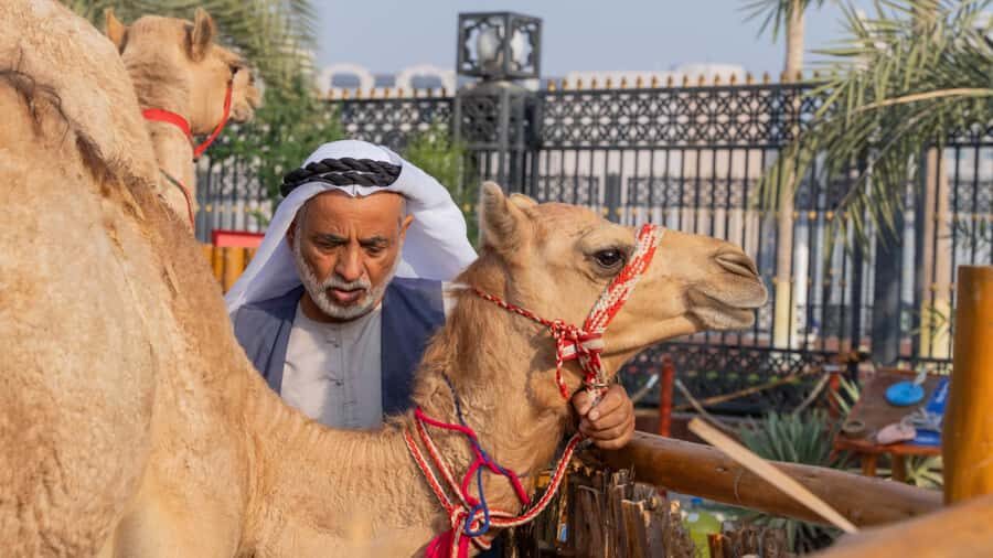 Dubai: Emirati Cultural Experience with Emirati Meal - Sheikh Mohammed bin Rashid Centre: The Q&A That Turns Curiosity Into Answers