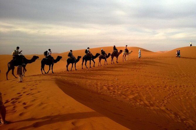 Dubai Evening 4x4 Desert Safari ATV Bike ,Camel Ride , BBQ Dinner - Sandboarding at sunset: the best light meets the best sand