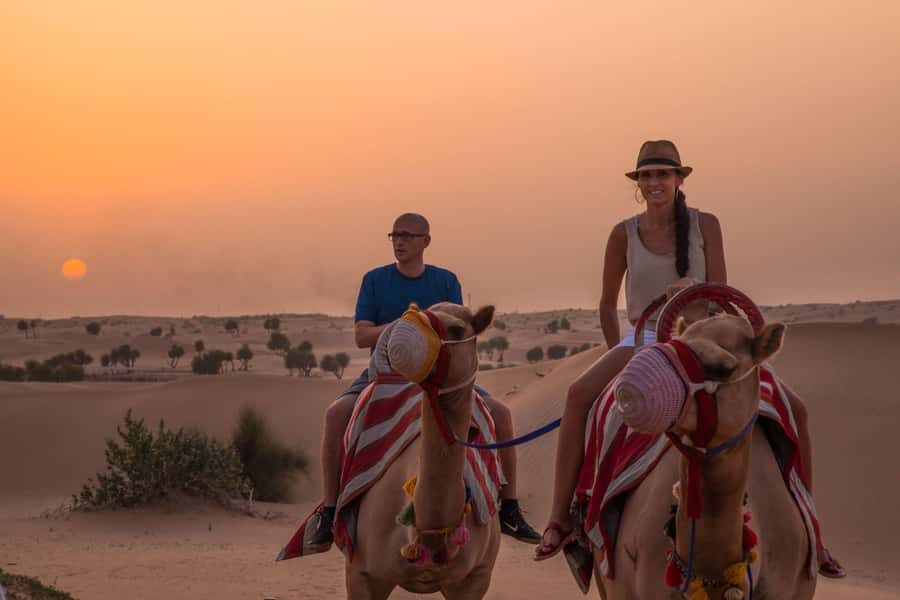 Dubai: Evening Camel Trekking & Dinner at Al Marmoom Oasis - Telescope stargazing: how to get the best sky