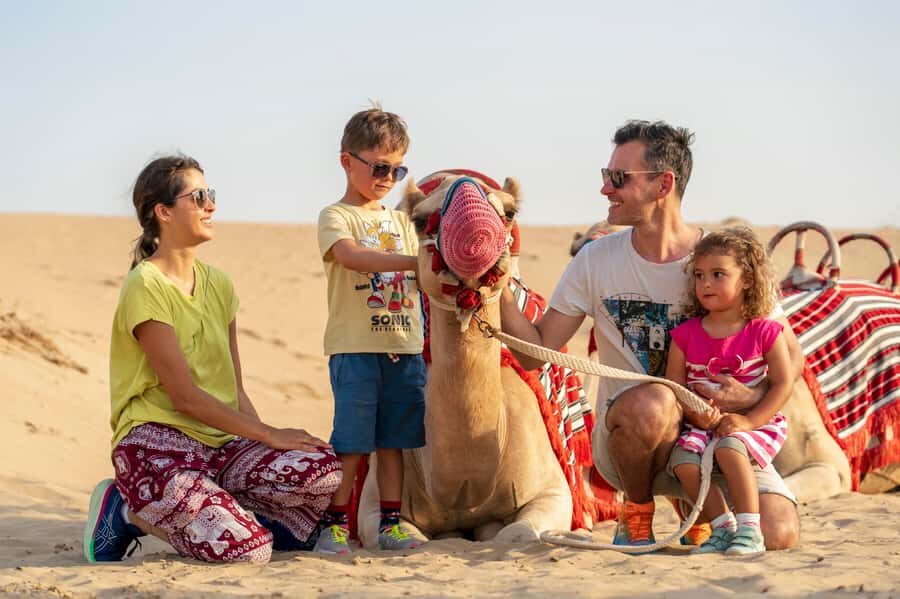 Dubai: Evening Camel Trekking & Dinner at Al Marmoom Oasis - Price and value: is $120 for 6 hours fair?