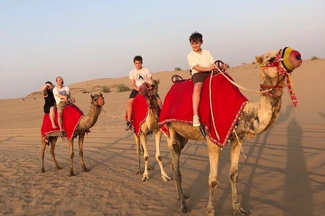 Dubai Evening Desert Safari - Price and Logistics: Is $100 Good Value for This Safari?