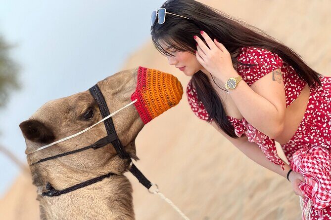 Dubai: Evening Desert Safari, Camel Ride, Shows & BBQ Dinner - Key Things to Know Before You Go