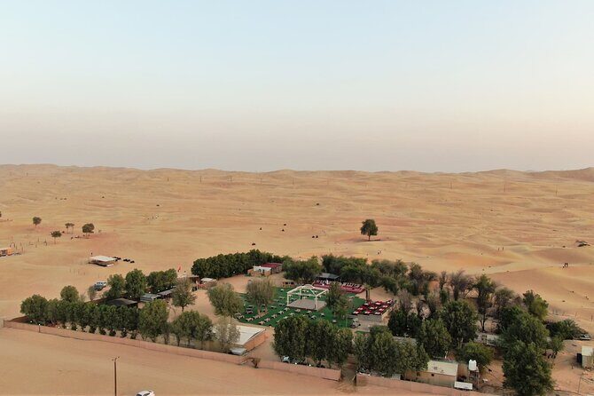 Dubai: Evening Desert Safari, Camel Ride, Shows & BBQ Dinner - Dinner That Doesn’t Feel Like an Afterthought: 10+ Courses and Unlimited Drinks