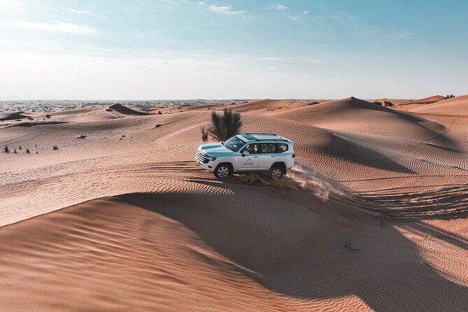 Dubai Evening Desert Safari: Sandboarding, BBQ, Camel Ride & more - Group Size, Seating Rotation, and Why That Affects Your Comfort