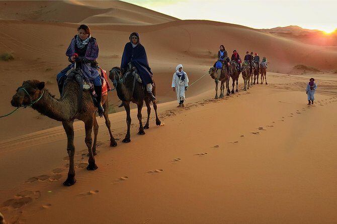 Dubai Evening Desert Safari with ATV Quad Bike & Dinner - Value, Timing, and What This Costs You (and Why It’s Fair)