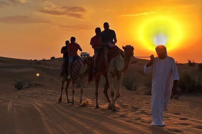 Dubai Evening Desert Safari With BBQ Dinner at Arabian Heritage - Key points before you go