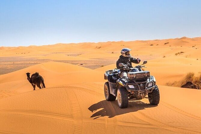 Dubai Evening Desert Safari with Quad bike, Dinner and Show - Key highlights to look for