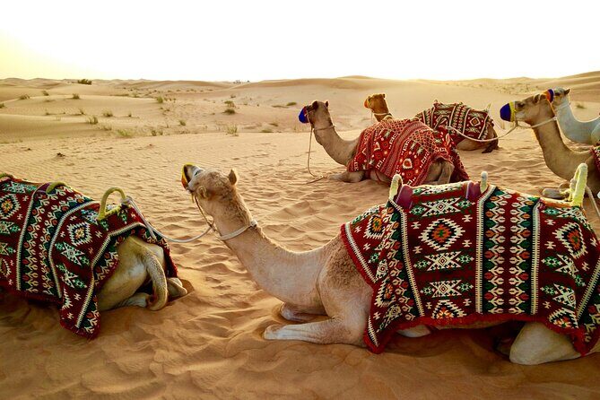 Dubai Evening Desert Safari with RedDune, sandboarding, live show - Tanoura and Belly Dancing Live Show (Ramadan Rules Included)