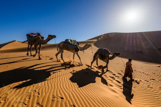 Dubai Evening Desert Safari with RedDune, sandboarding, live show - Price and Value: What $60 Buys in a 7-Hour Safari