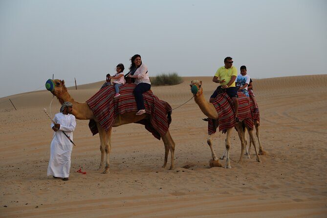 Dubai Evening Desert Safari with Thrilling Dune Buggy Adventure - Self-drive dune buggy: safety briefing, steering skill, and the real thrill