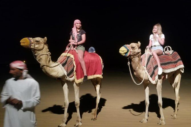 Dubai Evening Private 4x4 Desert Safari ,4 Live Shows, BBQ Dinner - Sunset stop and the camp ride: the moment it shifts