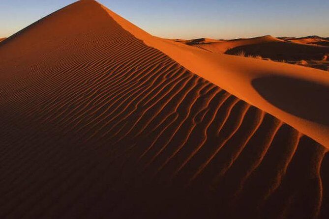 Dubai Evening4x4Desert Safari,BBQ Dinner,4 LiveShows,Camelride - Falcons, photos, and the sunset stop that you should take seriously