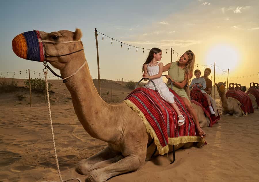 Dubai: Exclusive VIP Desert Safari Dinner with Live Show - Key things I’d plan around