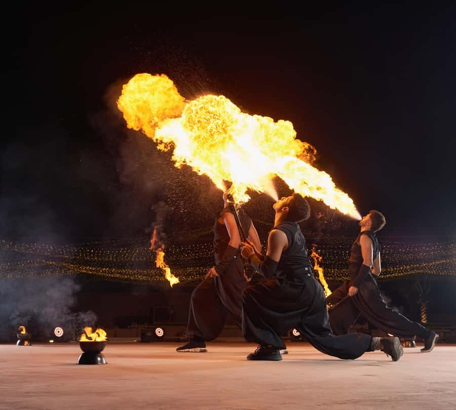 Dubai: Exclusive VIP Desert Safari Dinner with Live Show - Falcon + photography experience: the small thing that adds wow