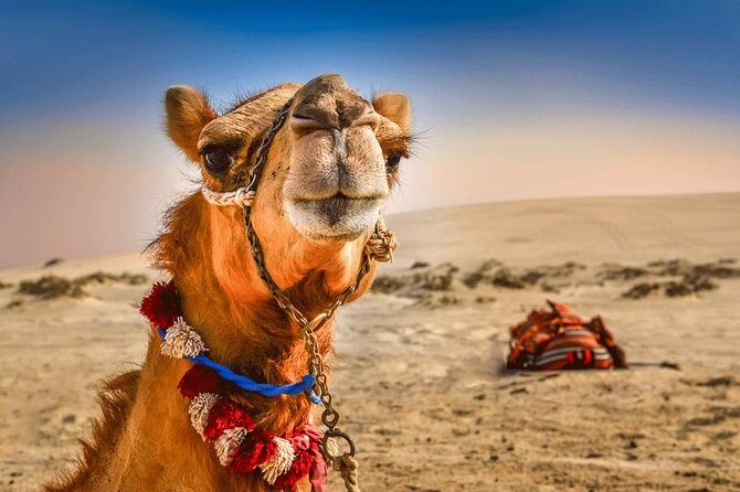 Dubai: Extreme Desert Safari, Camel Ride, Show & BBQ Dinner - The 4WD Dune Bashing Ride and the Sunset Photo Stop