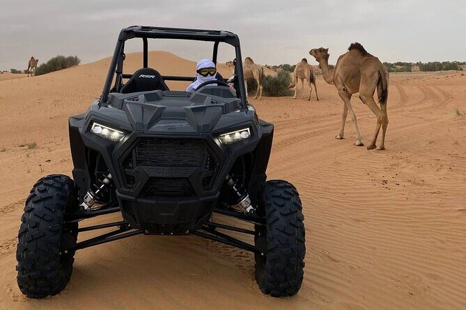 Dubai: Extreme Red Dune Buggy Desert Safari Adventure - Sandboarding on the Highest Dune: The Big Moment