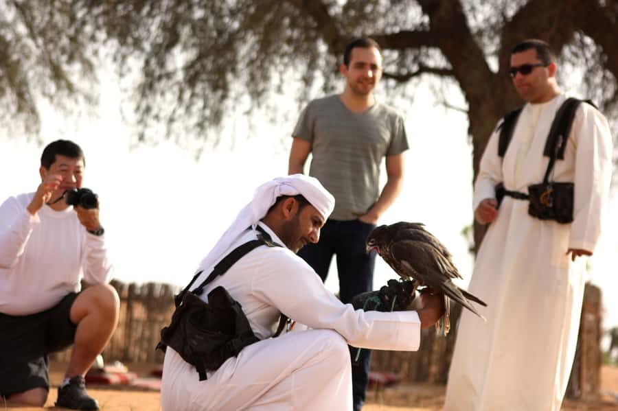Dubai Falconry Safari - What This Dubai Falconry Safari Really Feels Like