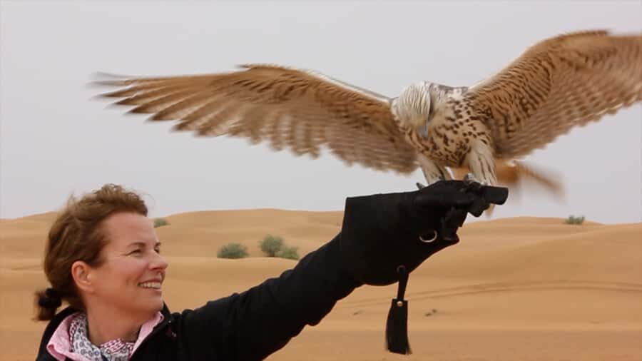 Dubai Falconry Safari - Dubai Desert Conservation Reserve Wildlife Drive: What You’re Searching For