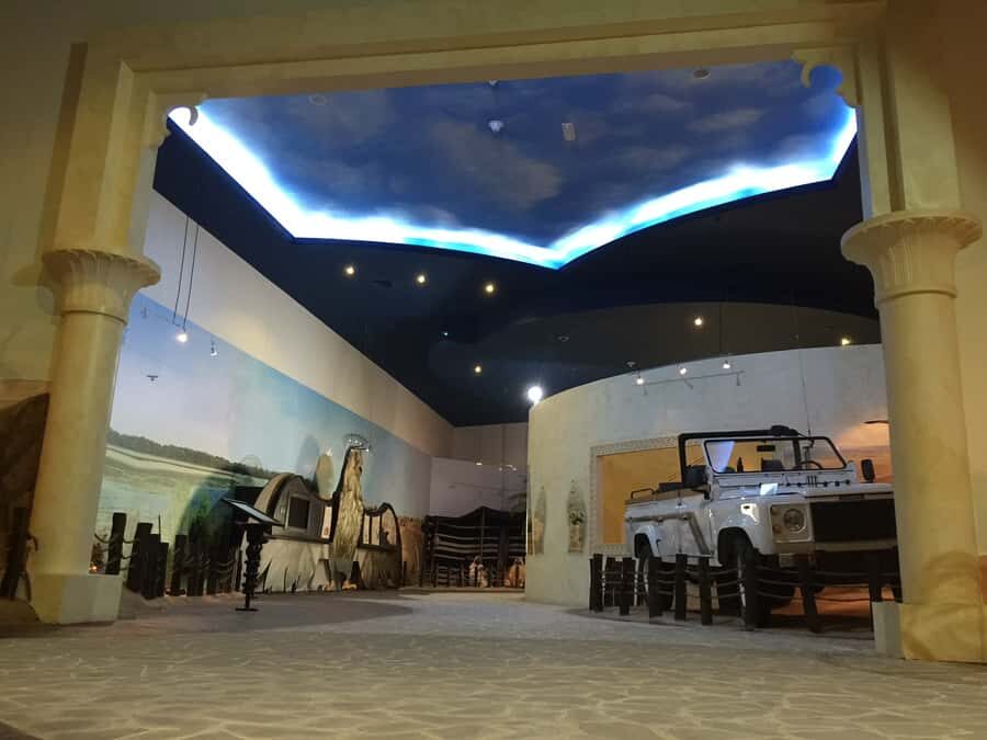 Dubai Falconry Safari - The Peregrine Falcon to a Drone: Traditional Sport Meets Modern Training