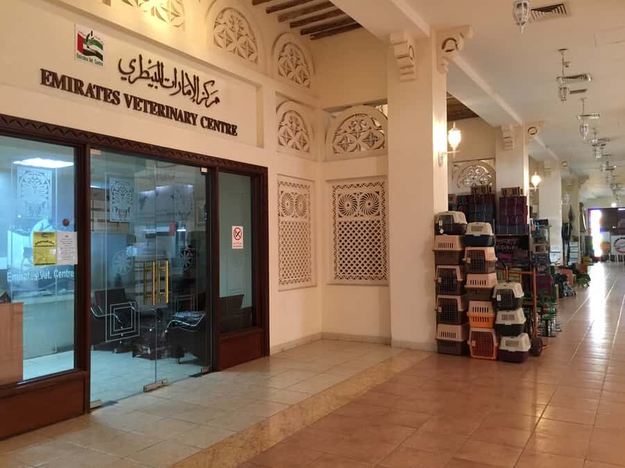 Dubai Falconry Safari - Dubai Falcon Souq and the UAE’s Only Falconry Museum