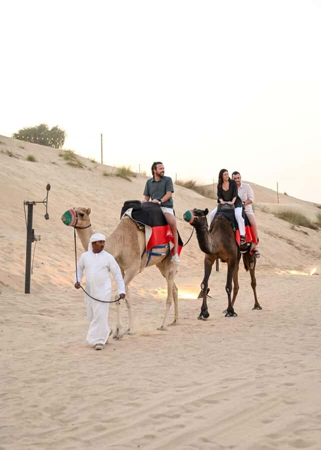 Dubai Fort Lisaili Desert: Quad, Buggy Ride & Free Souvenir - The BBQ and Live Shows: Dinner Leads, Then the Night Turns Up