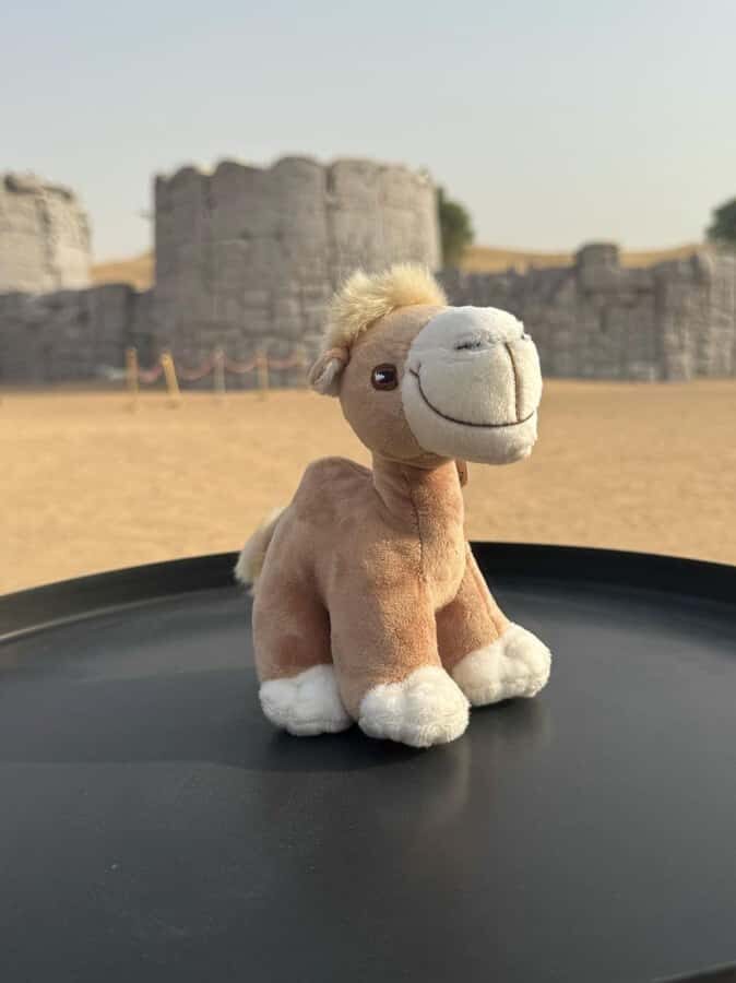Dubai Fort Lisaili Desert: Quad, Buggy Ride & Free Souvenir - Practical Notes That Can Save Your Evening