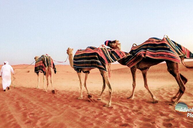 Dubai Full-Day Desert Safari Experience with Live BBQ Dinner - Dune bashing in a 4x4: the main event, handled with skill
